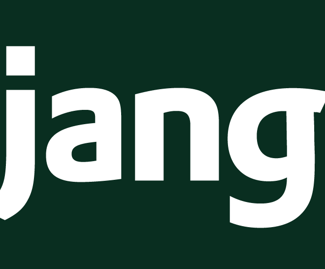 Image of: Loading angular chunk assets into Django template