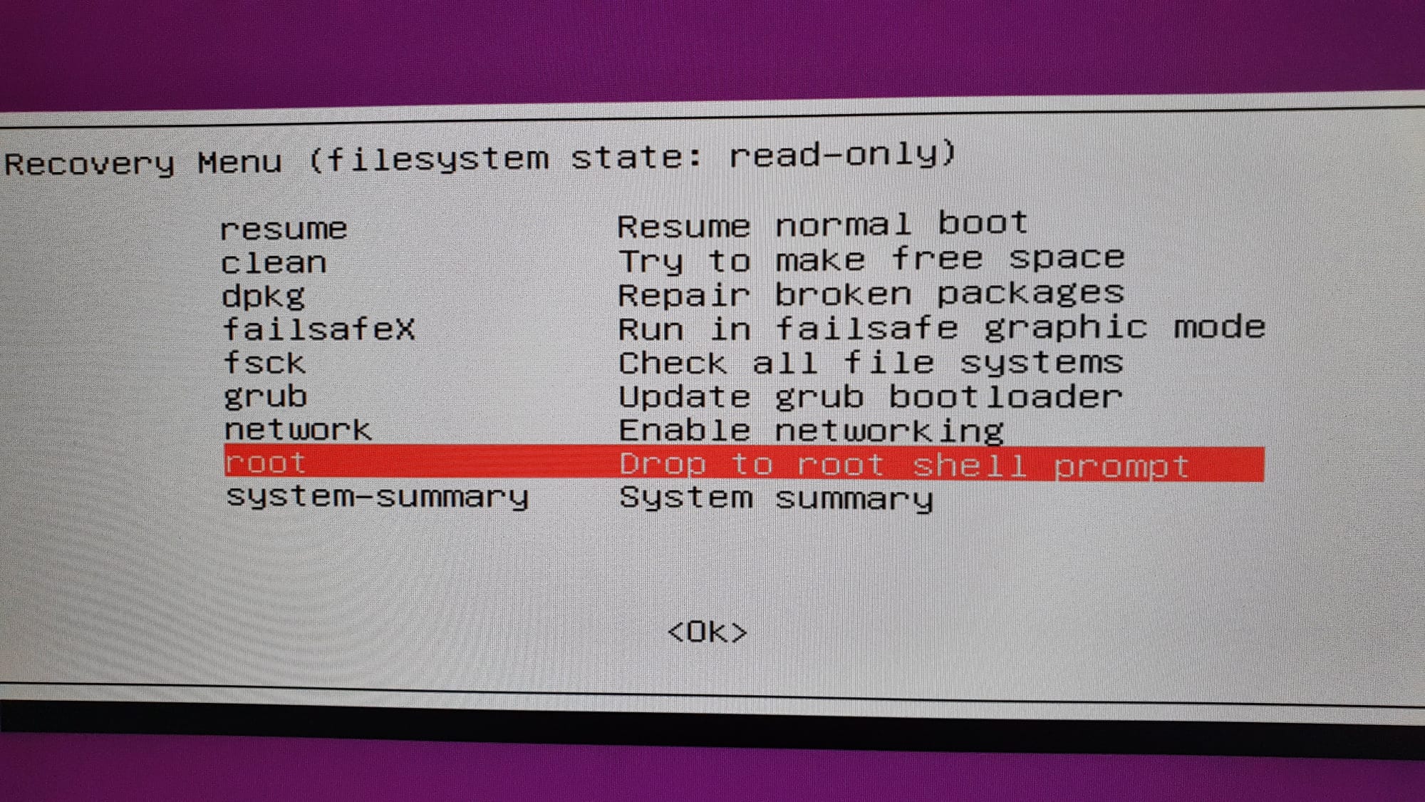 Ubuntu recovery menu