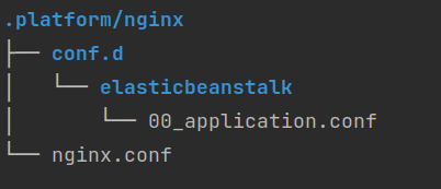 elastic beanstalk nginx